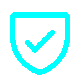 Shield Check